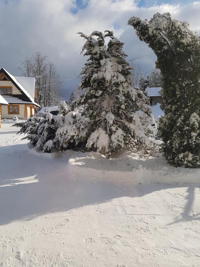 Tatrzanskie Domki Poronin Exterior foto
